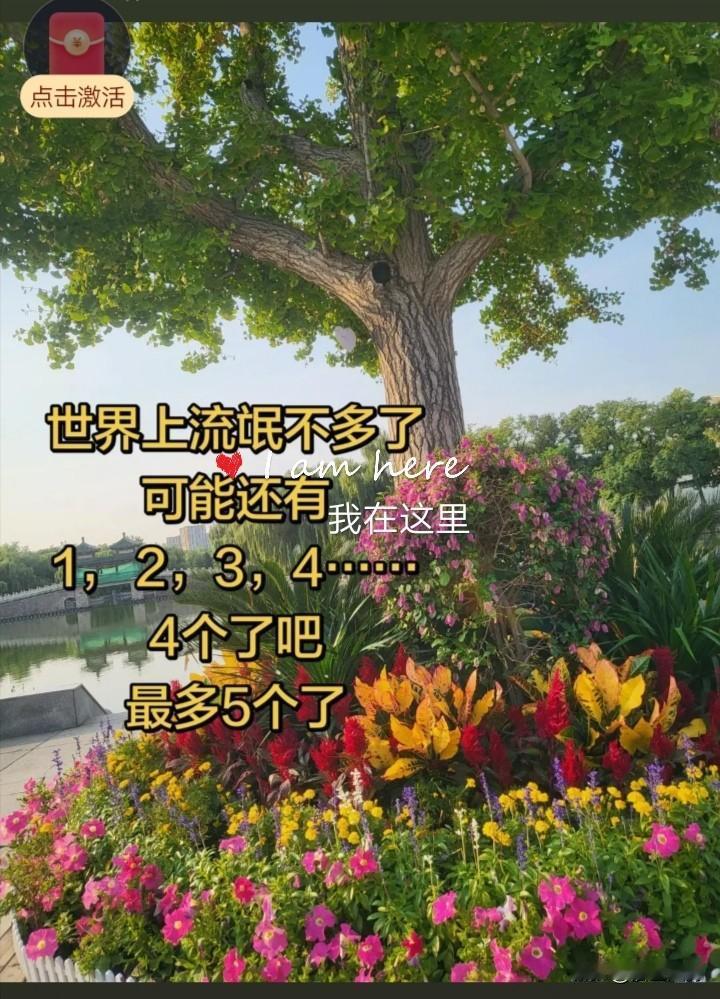 不多了，1、2、3、4……，4个了吧，最多5个。
认知提升