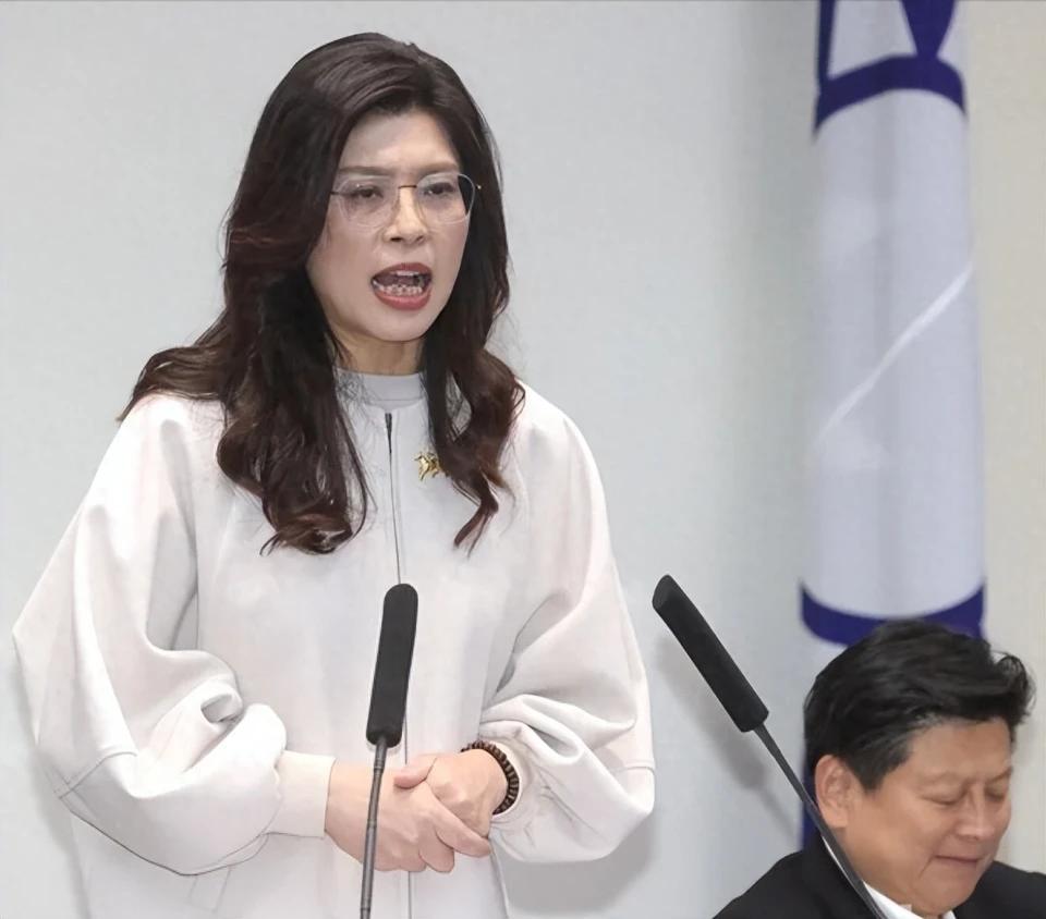 国民党将提出党版军购案，郑丽文：为民众看紧荷包，严防各类弊案

        