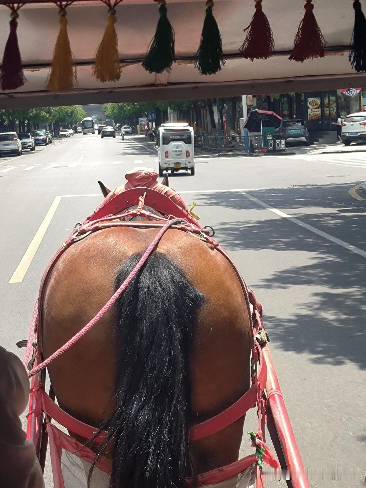 曲阜坐马车有感:
能在城市里坐上马车，是很少有的事情。
体现了这个城市的包容。