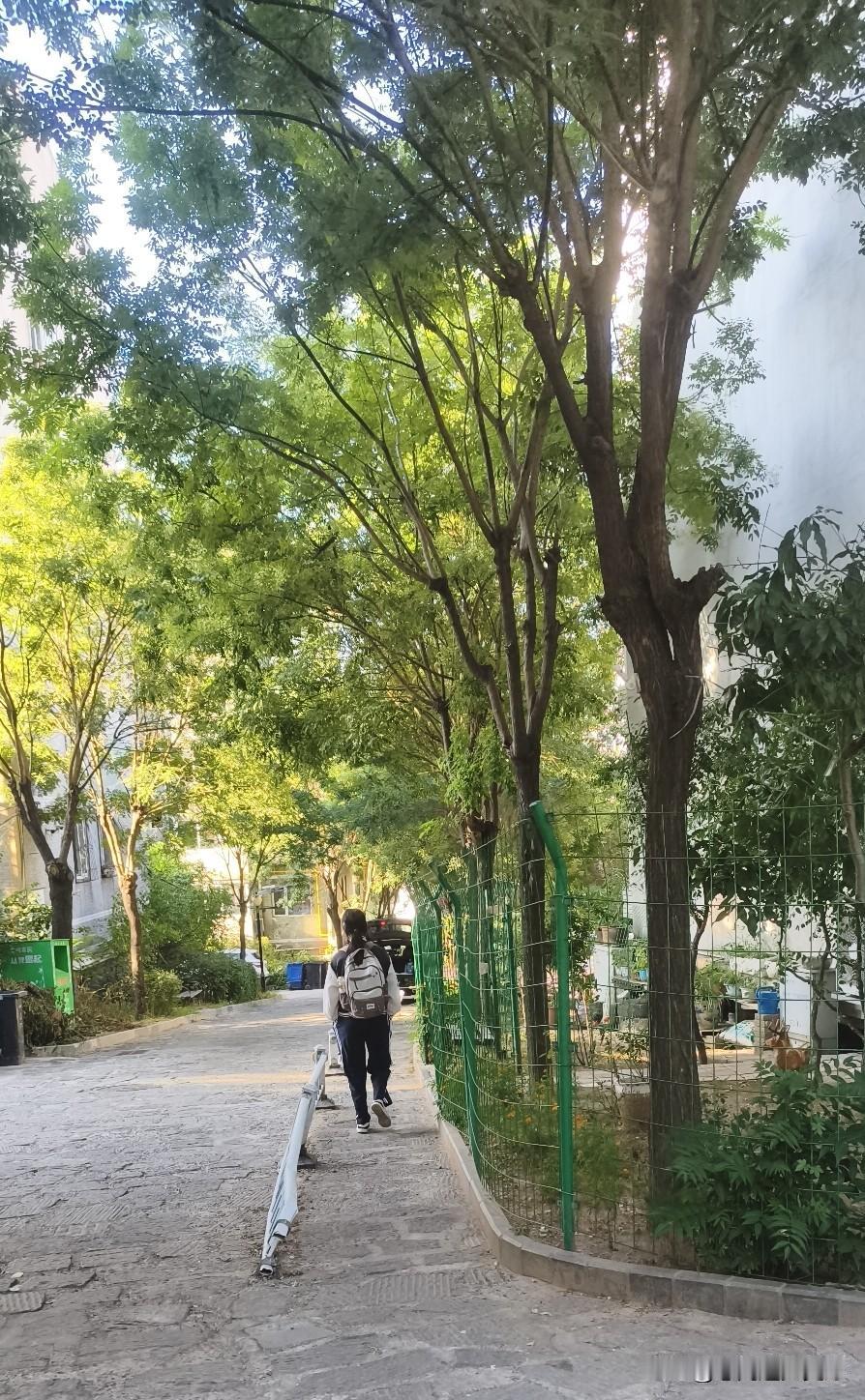 闺女开启新的学习生活了！初中住校了！

最近，在抖音上刷到好多要走读，要走读。住