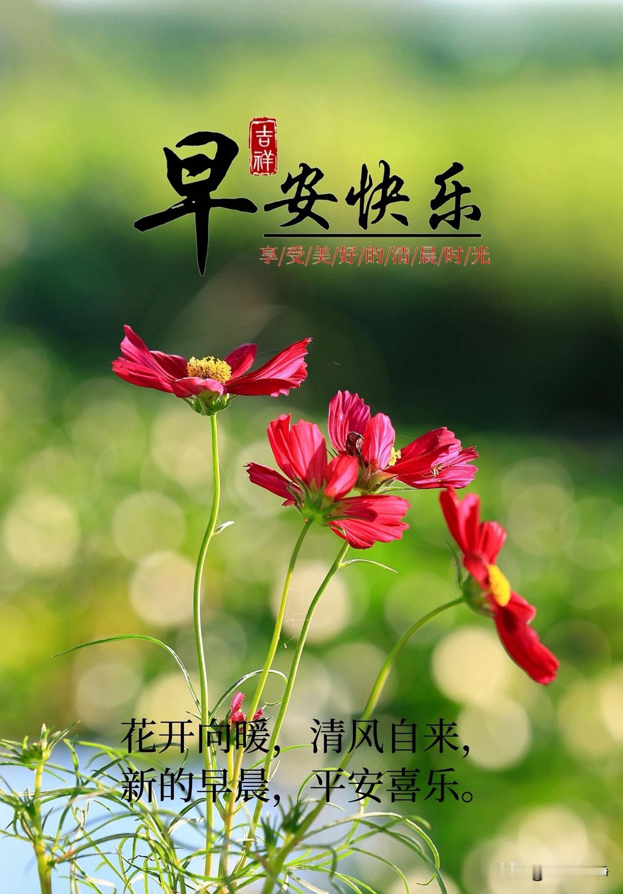 🌼²⁰²⁶/₀₈.₀₂ᵕ̈ 周日｜清闲自在☀️🍃
八月清晨，清风徐徐，
褪去