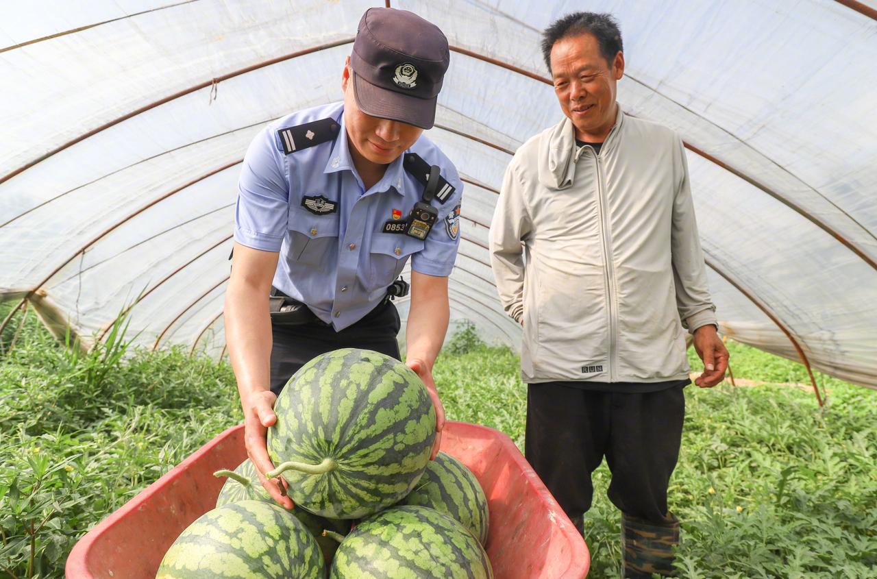 【民警把反诈课搬进瓜棚与田间】近日，淮安市公安局淮阴分局三树派出所民辅警走进辖区