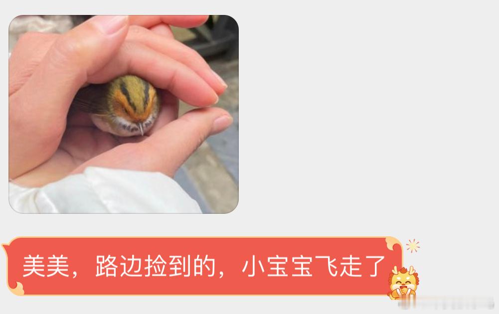 眉毛长脑袋上的【棕脸鹟莺】（生僻字读半边 ​​​