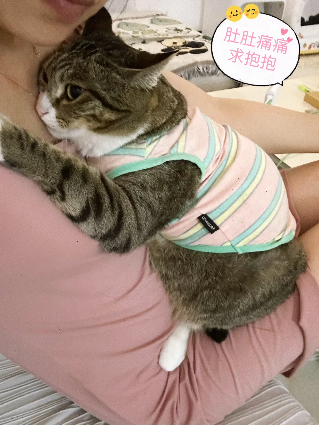 猫咪拉稀闹情绪该怎么办！