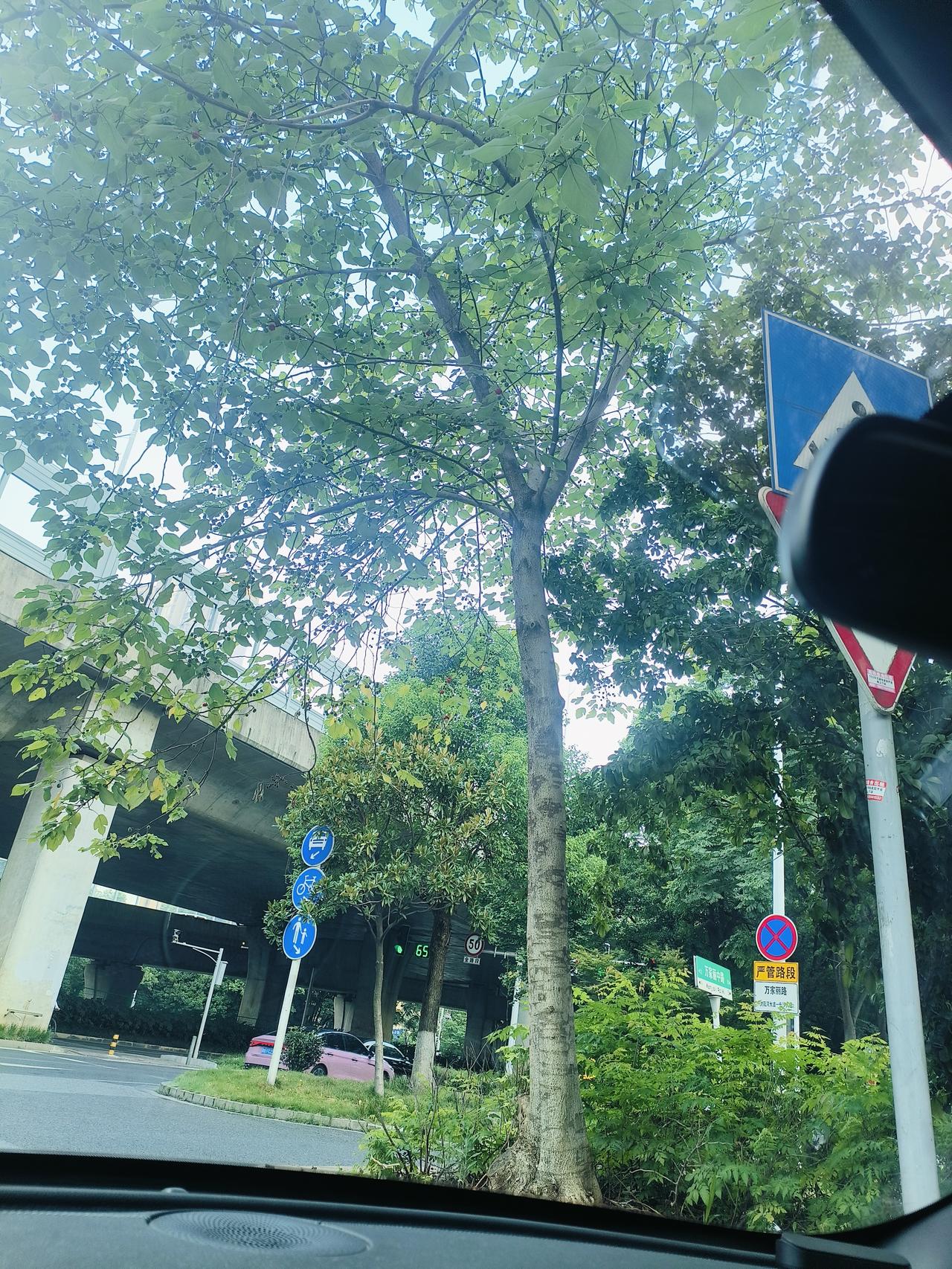 长沙多项补贴可申领，部分非湘籍也能享
 
长沙推出毕业生、住房、社保、生育等多类