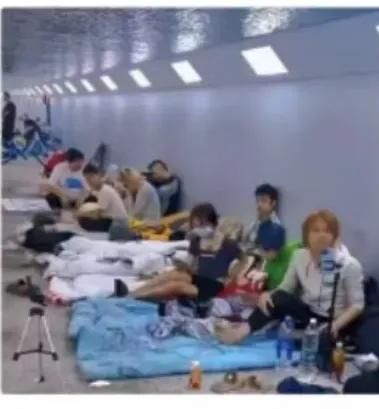 郑州桥底下住着一群年轻的流浪汉，男男女女睡一窝，地方又脏又臭，他们没有固定职业，