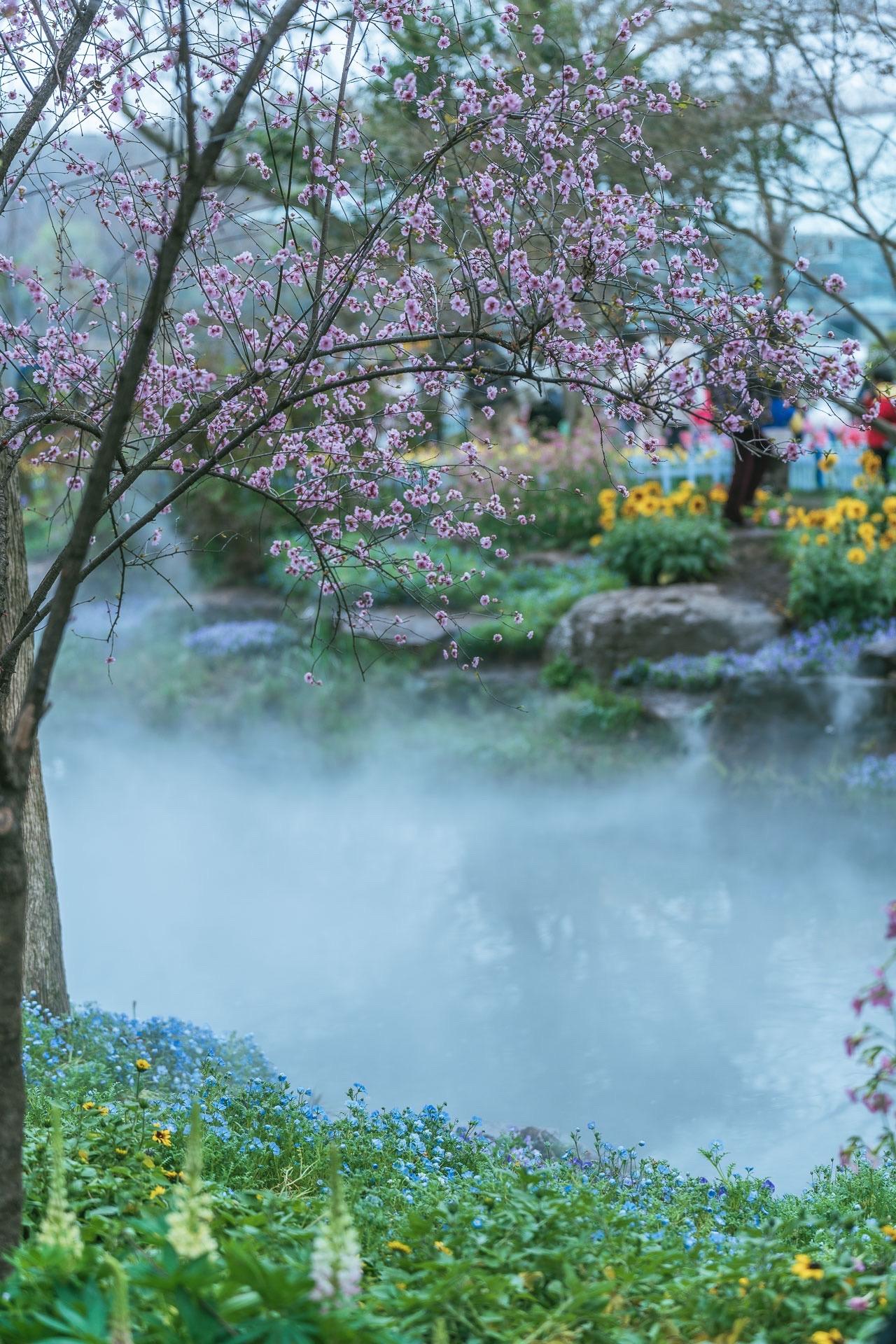 梦游爱丽丝仙境，植物园太仙了