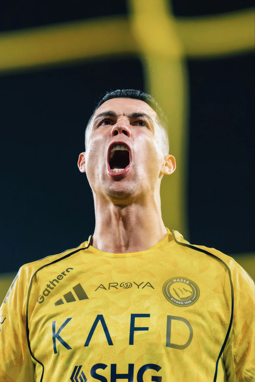 尊贵的罗迷下午好