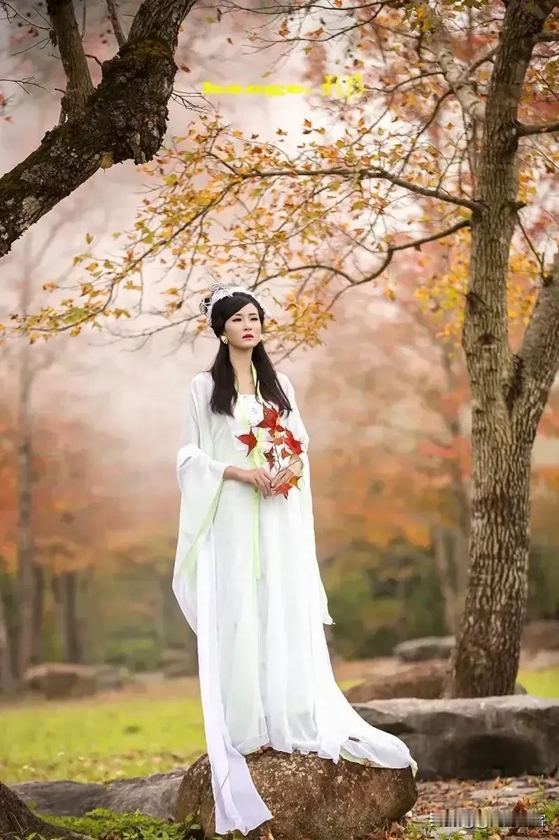 七律  秋思和@@筠庐主人 
为念心中白月光，临风久伫送斜阳。
云巢不暖宾鸿翼，