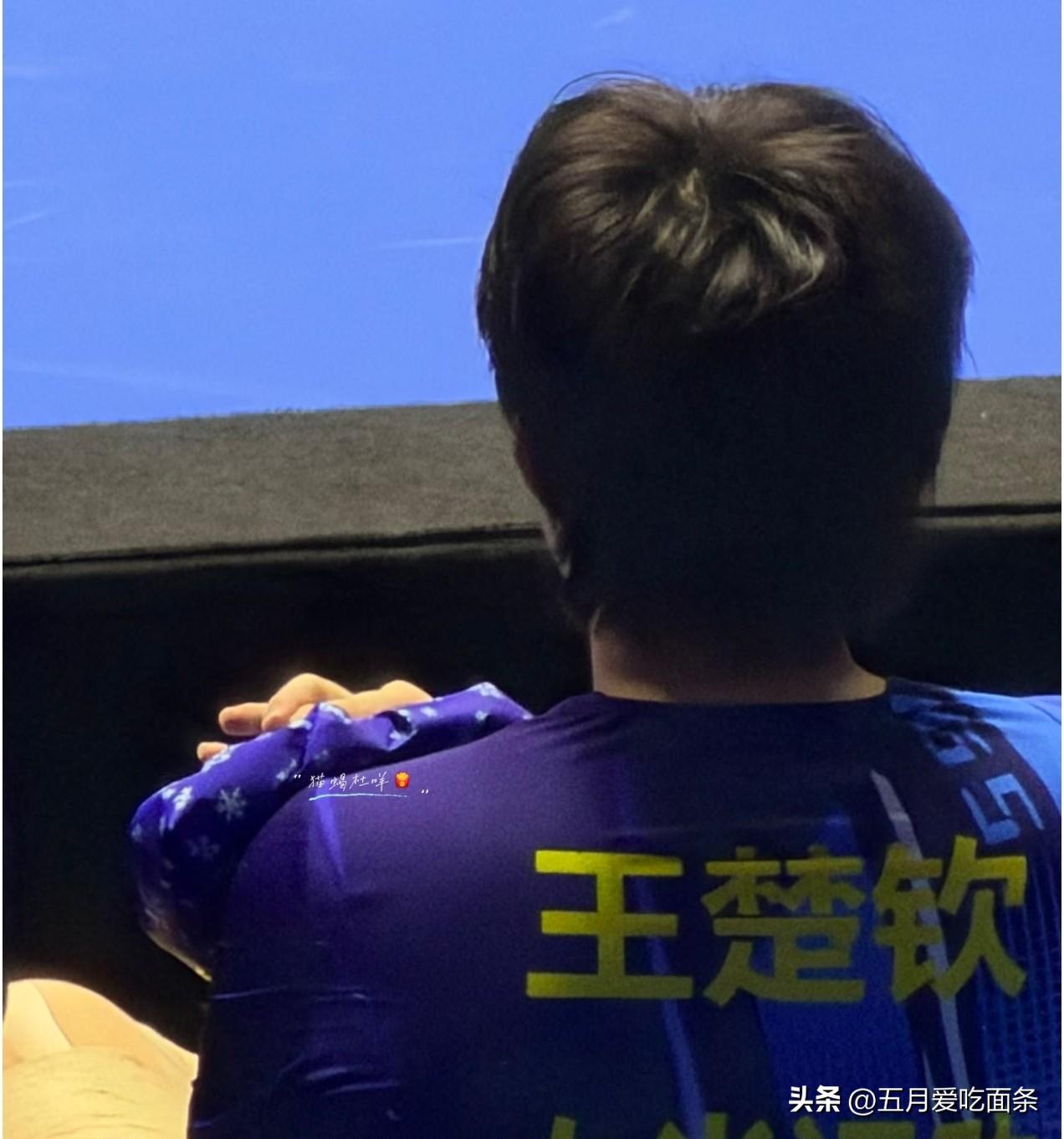 蒯曼伤退，徐瑛彬伤退，王楚钦肩膀、手臂、膝盖都出现伤病反应。

国内主力在忙乒超