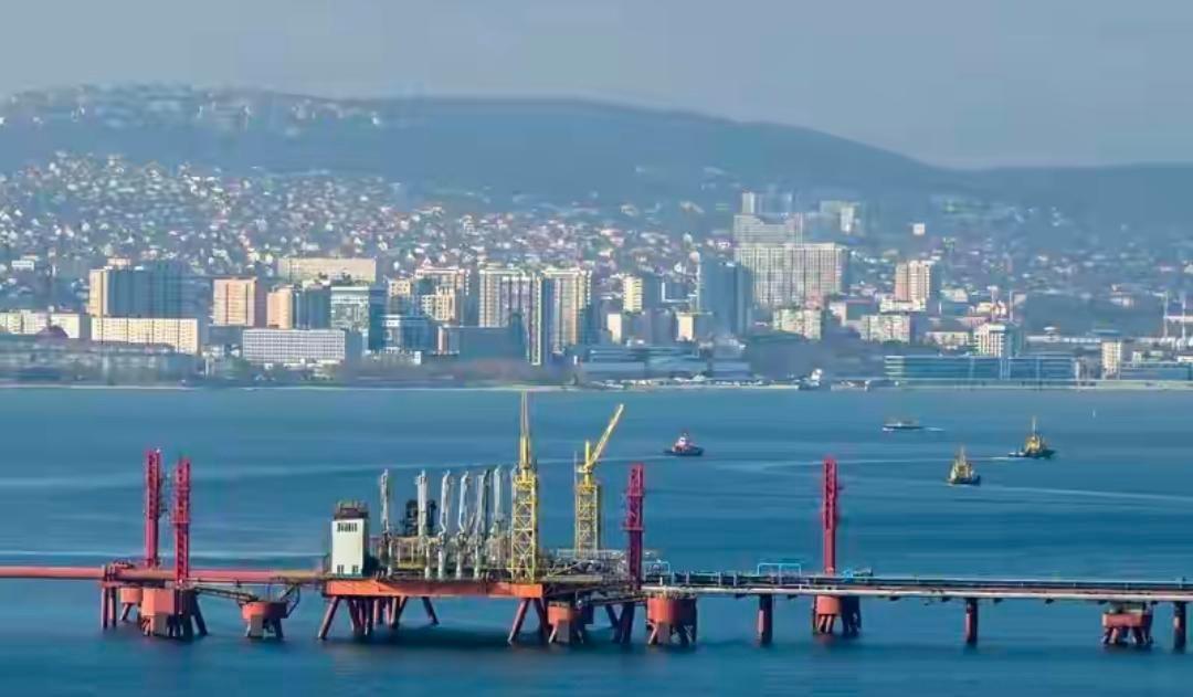 作为一个常年盯着国际局势和油价波动的老股民，看到特朗普这突然要对俄罗斯“示好”的