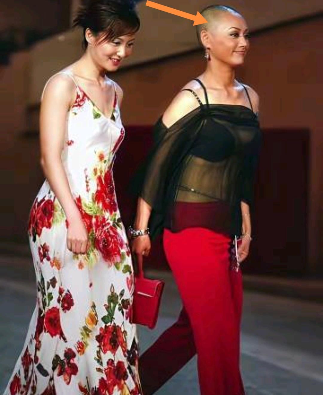 内娱里，能像宁静这样大胆、狂野、完全不按常理出牌的女星，几乎找不到第二个。别说日