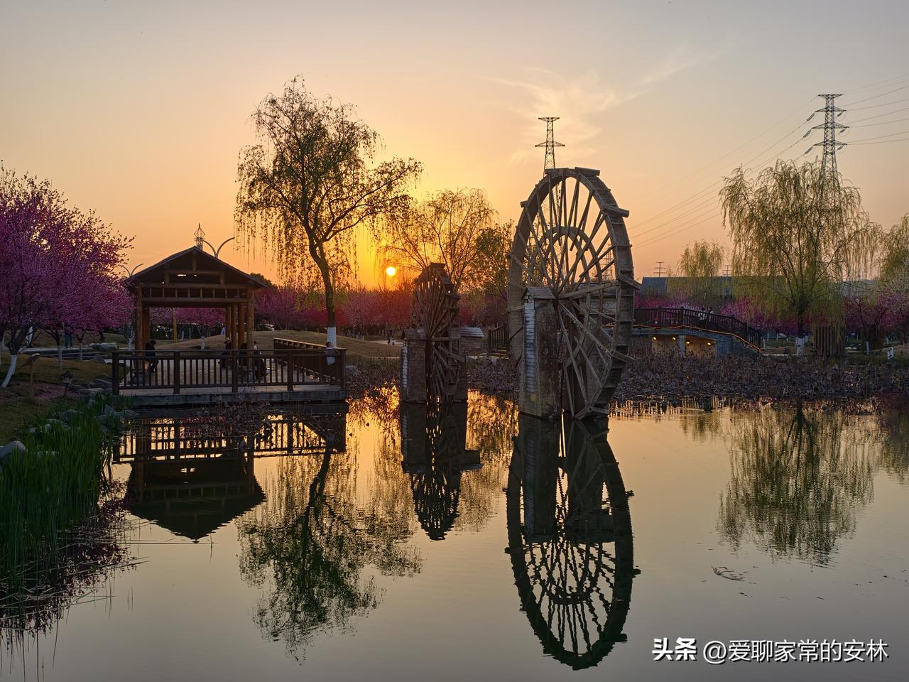 去桃花源不仅可以看桃花，看粉红色的花朵开满枝头，还可以等，等到日头落下，看看夕阳