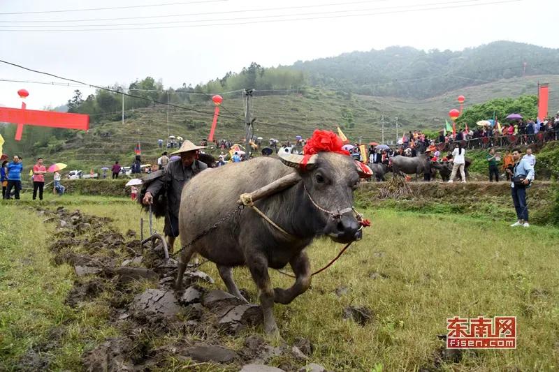 上联:田间哪有功名路，
下联:农耕汗滴禾下土。