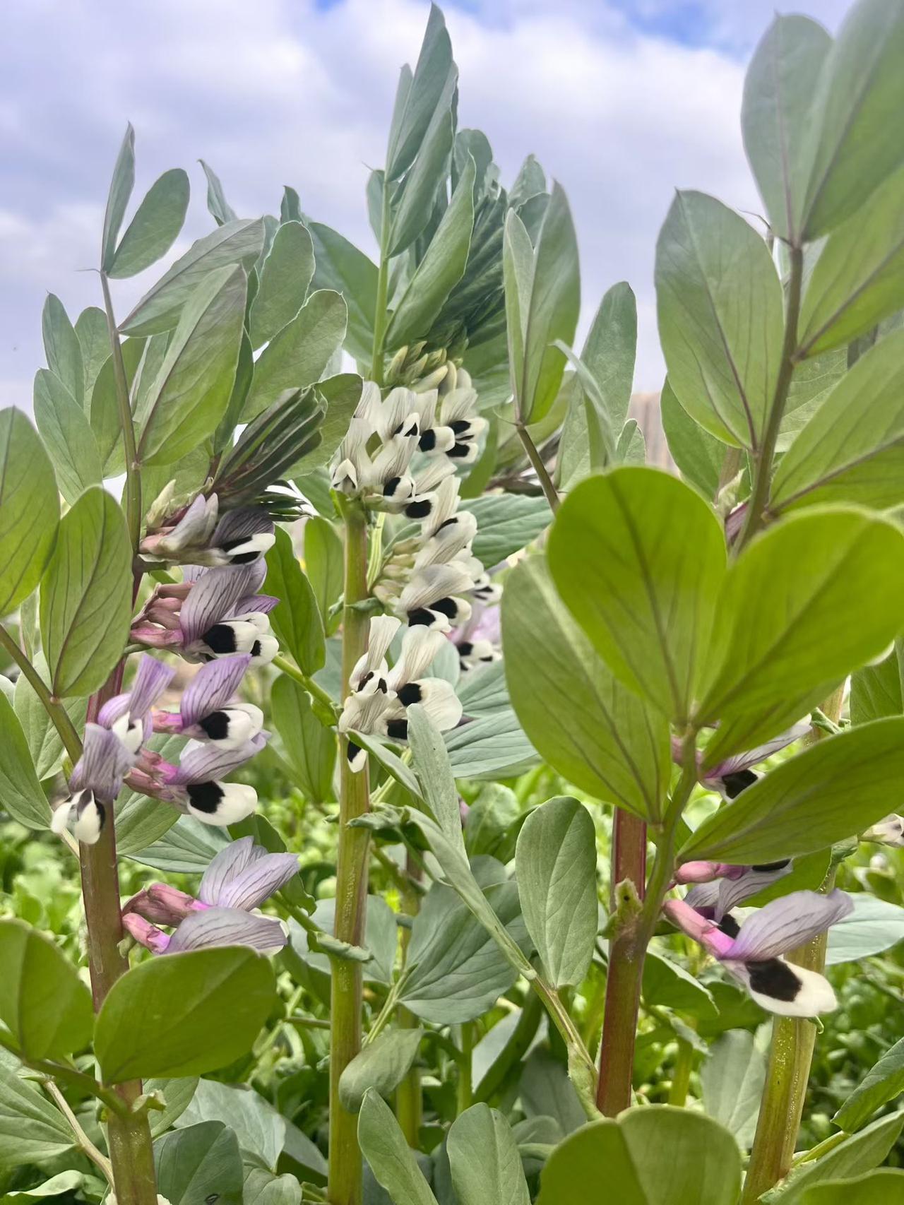 ☀️
美好的一天开始啦！

日子向前，生活向暖，愿每一天都承载着健康和快乐。