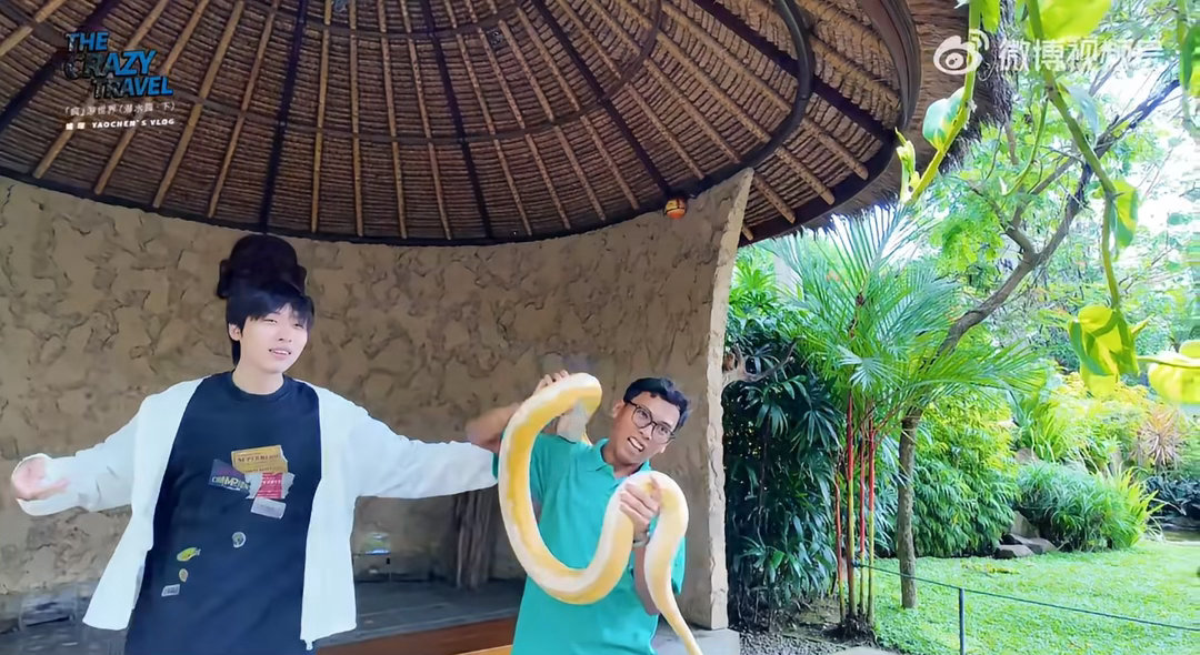 姚琛在巴厘岛深潜拍到海狼风暴姚琛的潜水vlog含金量拉满！巴厘岛深潜偶遇海狼风暴