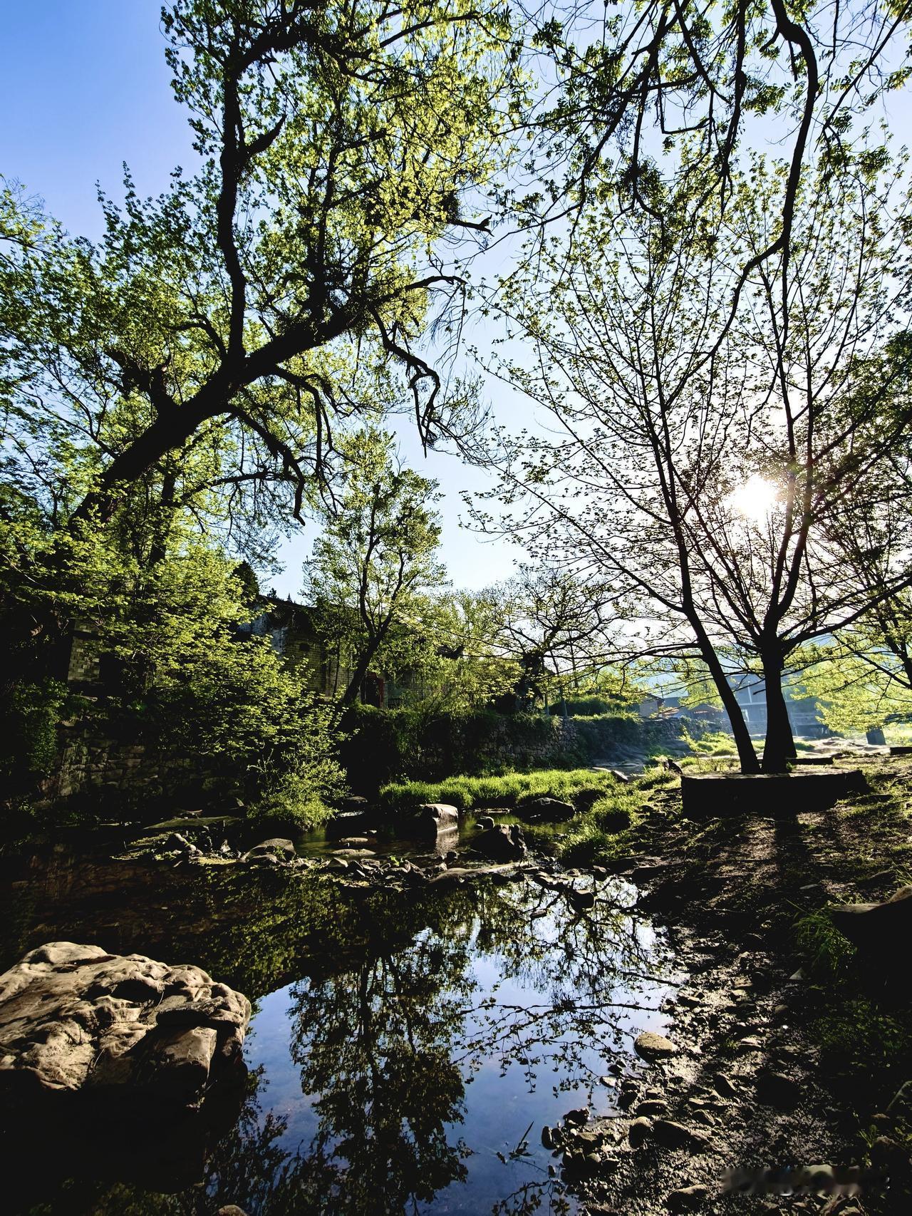 清晨来到后院的小河边拾几张小片，西河湾古村一个来了就不想离开的地方……水墨画般的