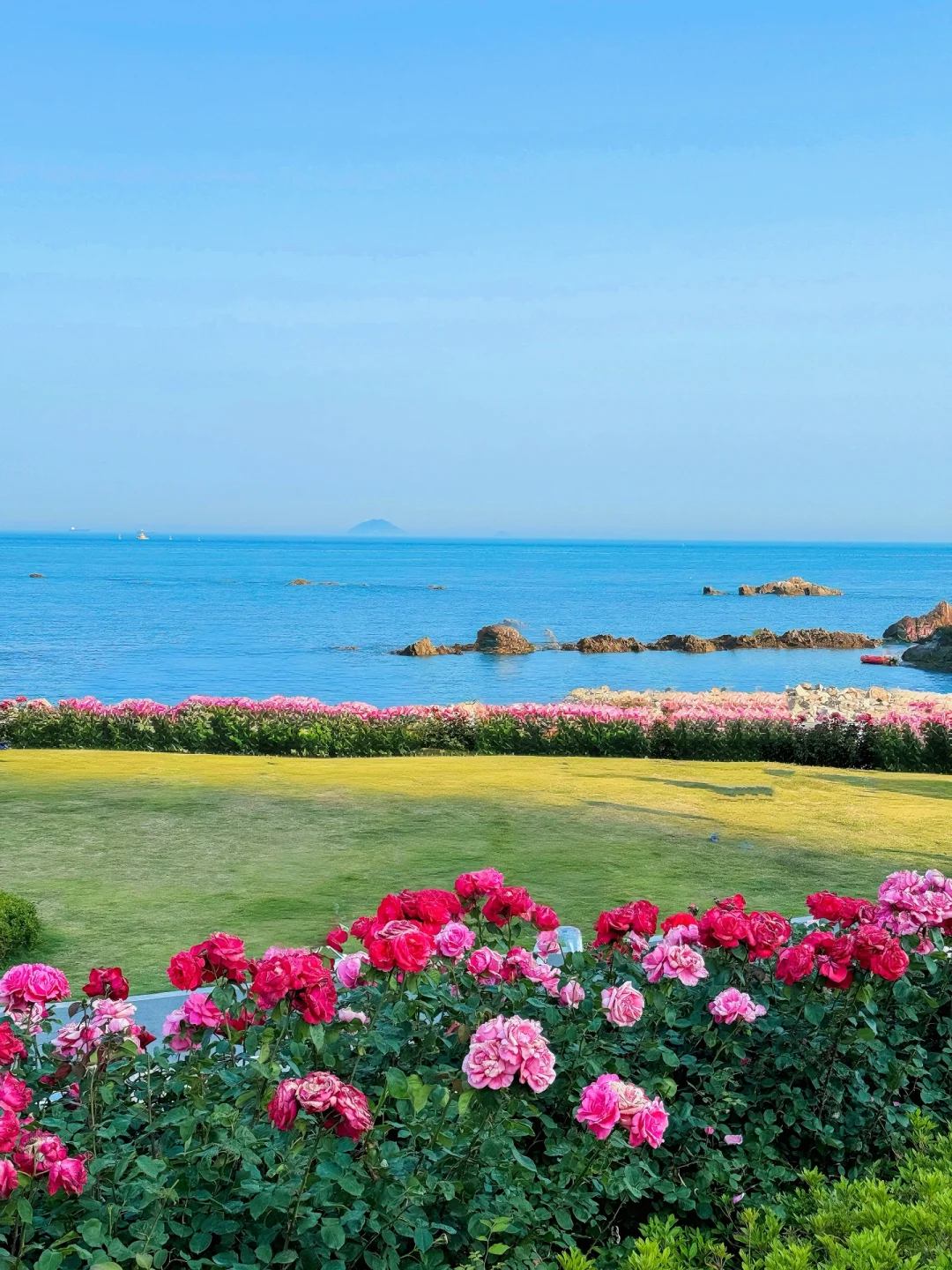 青岛citywalk路线🌷一边花海一边大海太浪漫