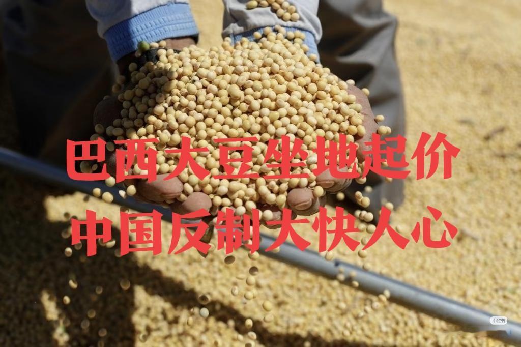煮熟的鸭子还能飞了？巴西大豆这回算是栽了！手握中国70%进口份额，竟敢坐地起价，