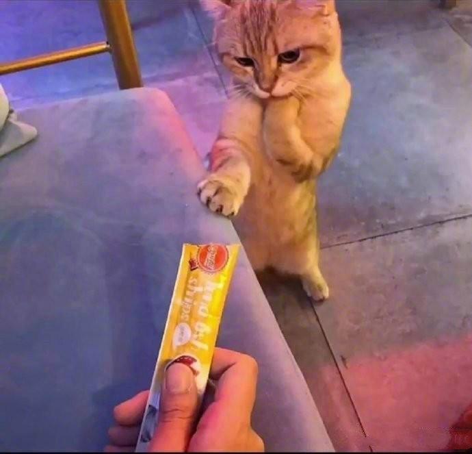 那个.......可以给我么