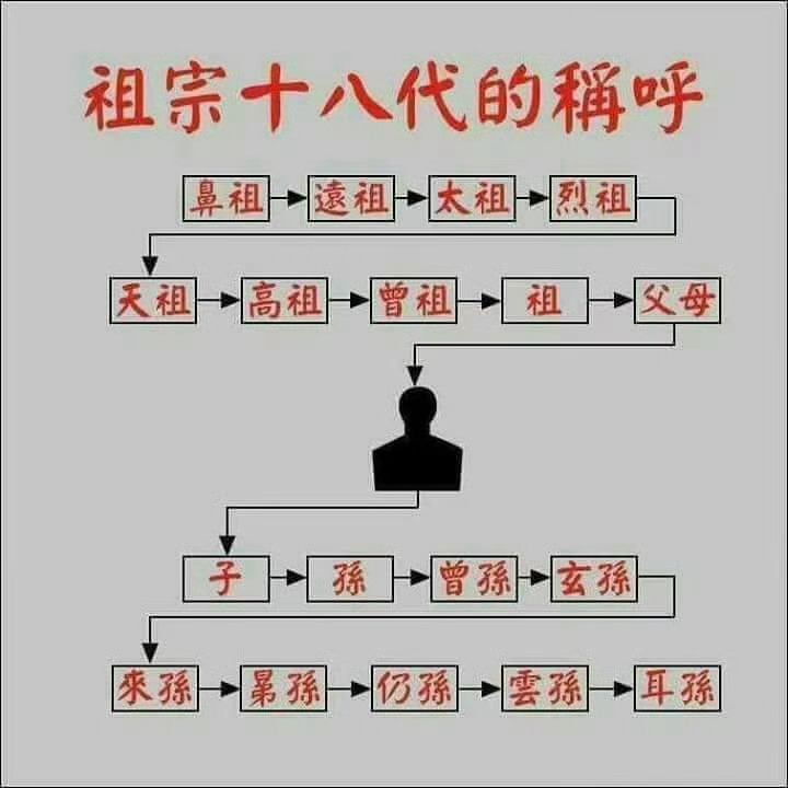 祖宗十八代。 