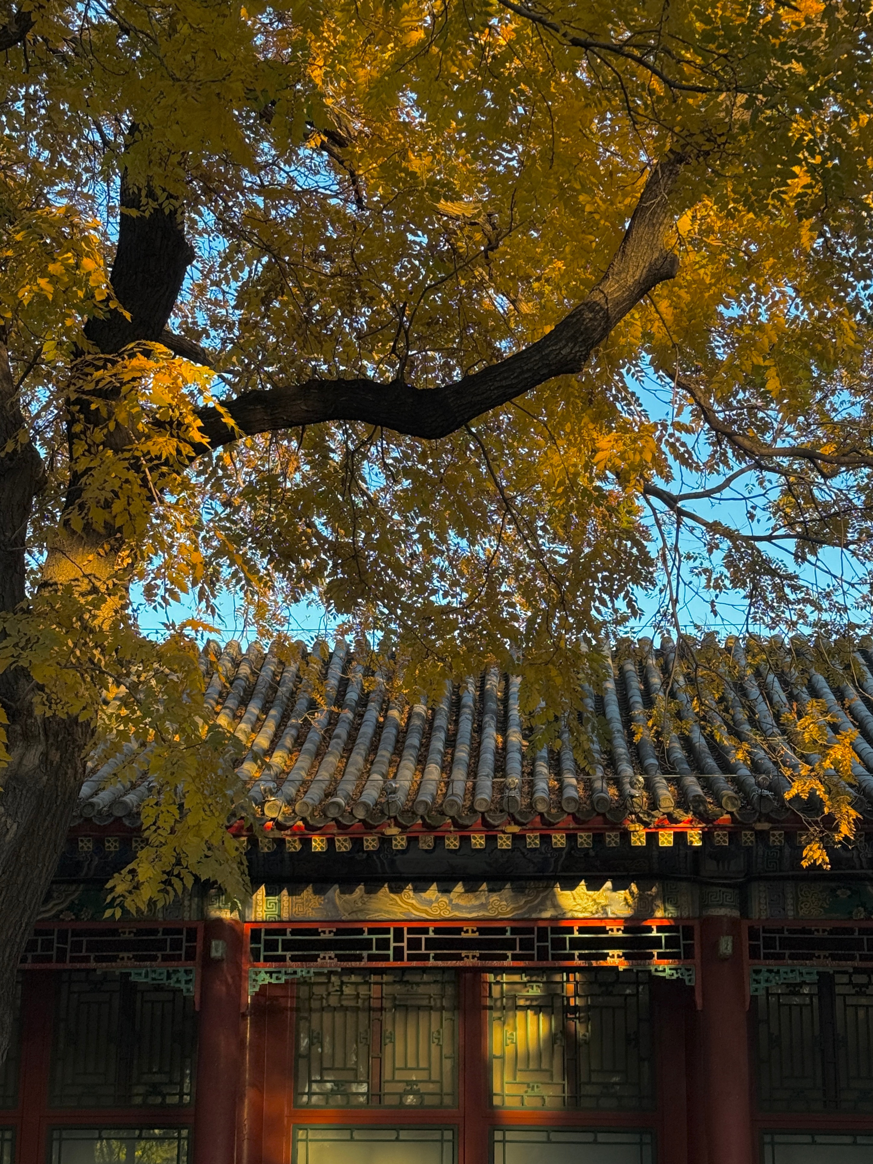 像秋一样接纳自己的丰荣与枯败 ​​​