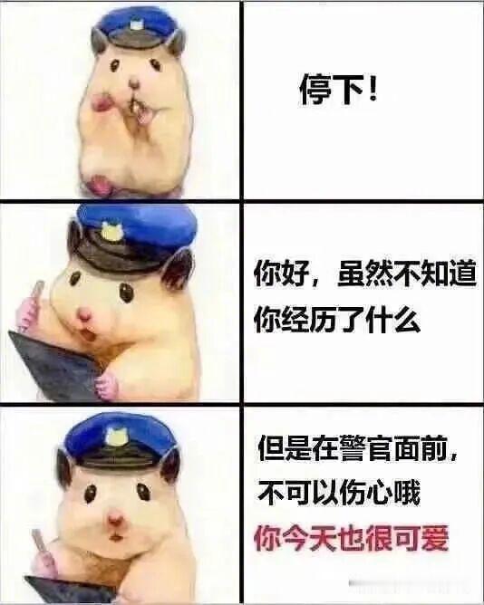 谢谢你，肥鼠鼠！ 