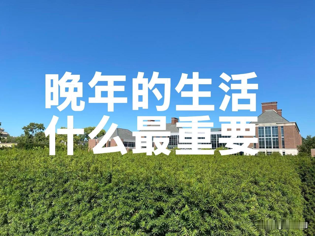 很多老人来美国养老，图的是安稳。

可我认识的一位阿姨，图的不是这个。

这是十