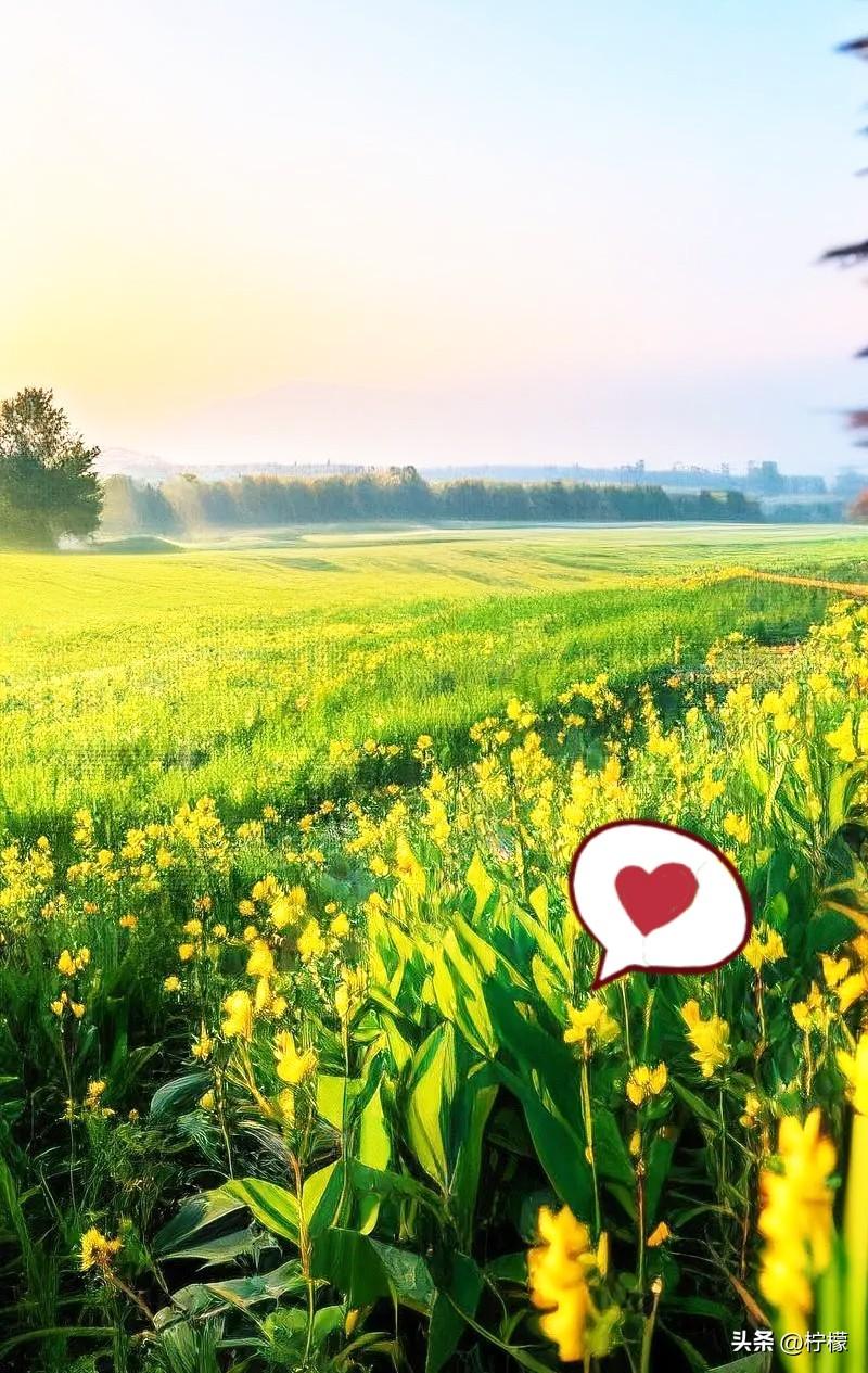 分享5条春天玄学，讲究少酸多甘，清淡养肝。

1、多吃山药、大枣、南瓜、桂圆、莲