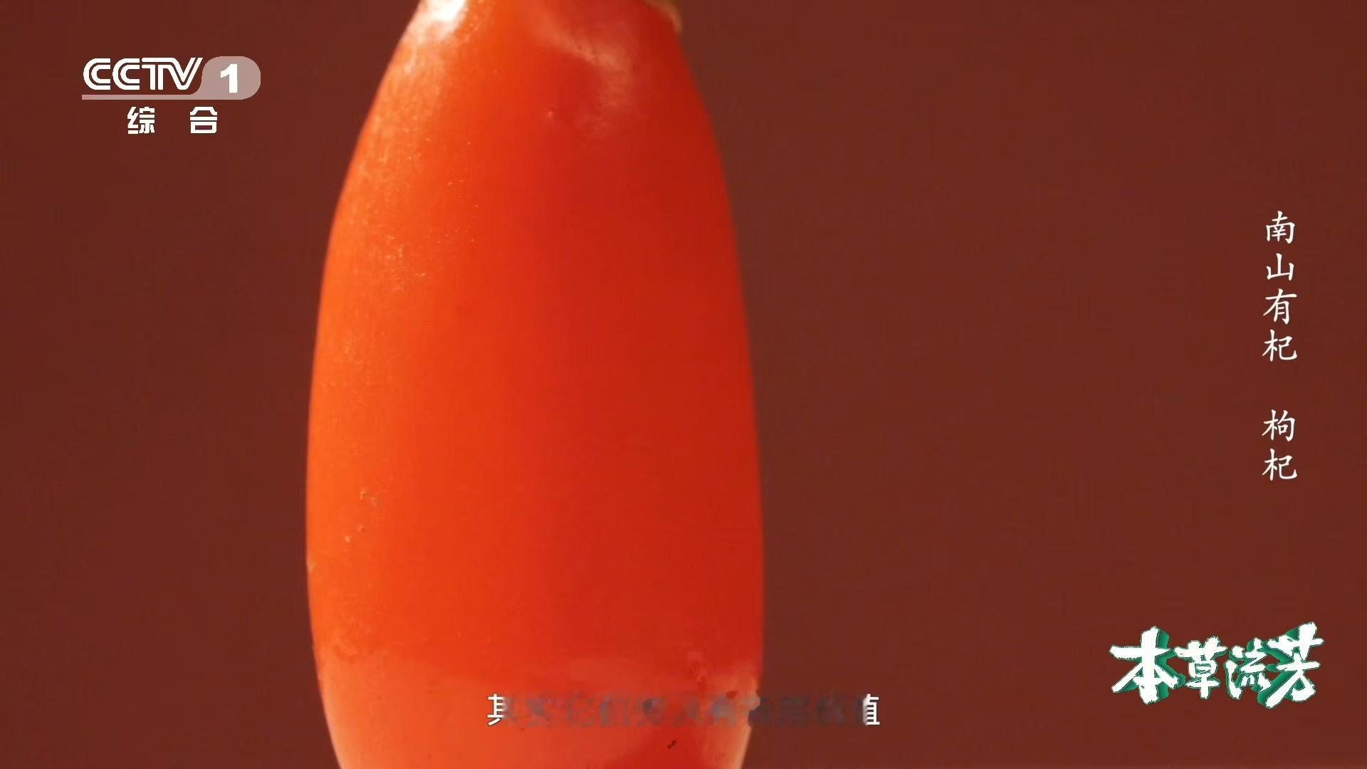 枸杞竟然和辣椒是亲戚  原来枸杞也有七彩葫芦娃版本  想不到枸杞和辣椒是近亲，多