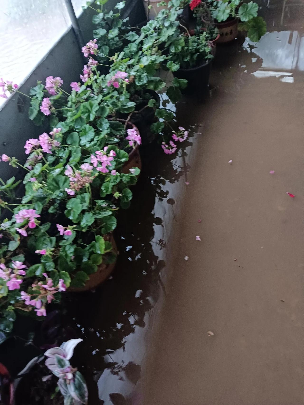 我家淹了，五点醒来，一片泽国，拖鞋都不知道跑哪里去了，找不到拖鞋，才知道屋里进水