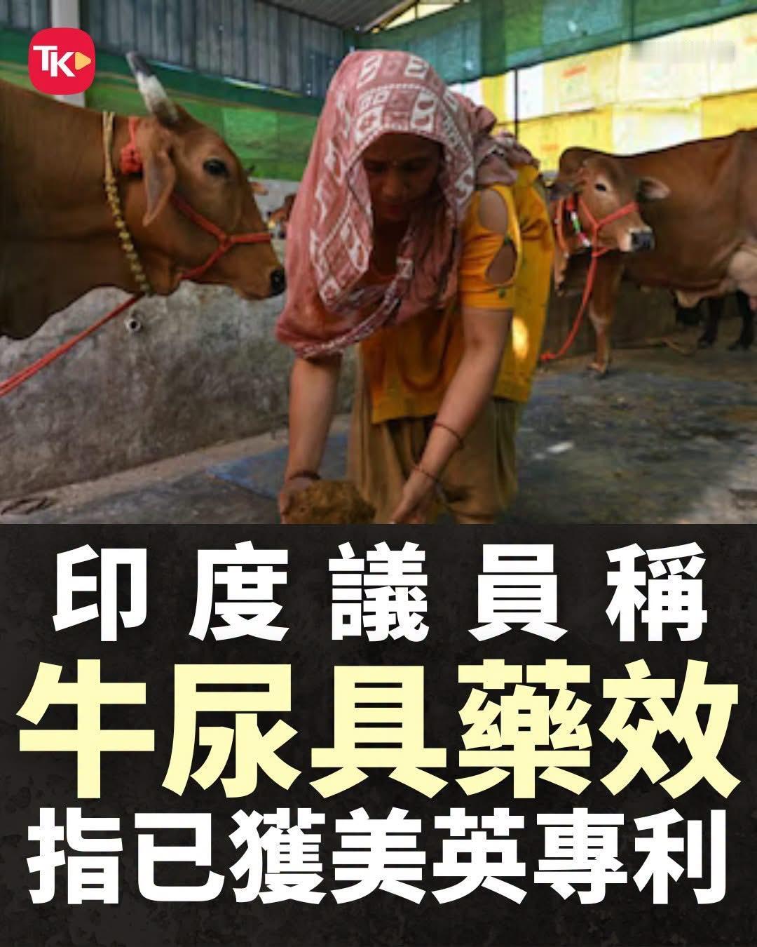 【观世界】【三哥想出一条产业链乎？】

下一步出牛尿消毒液？

据印媒报道，印度