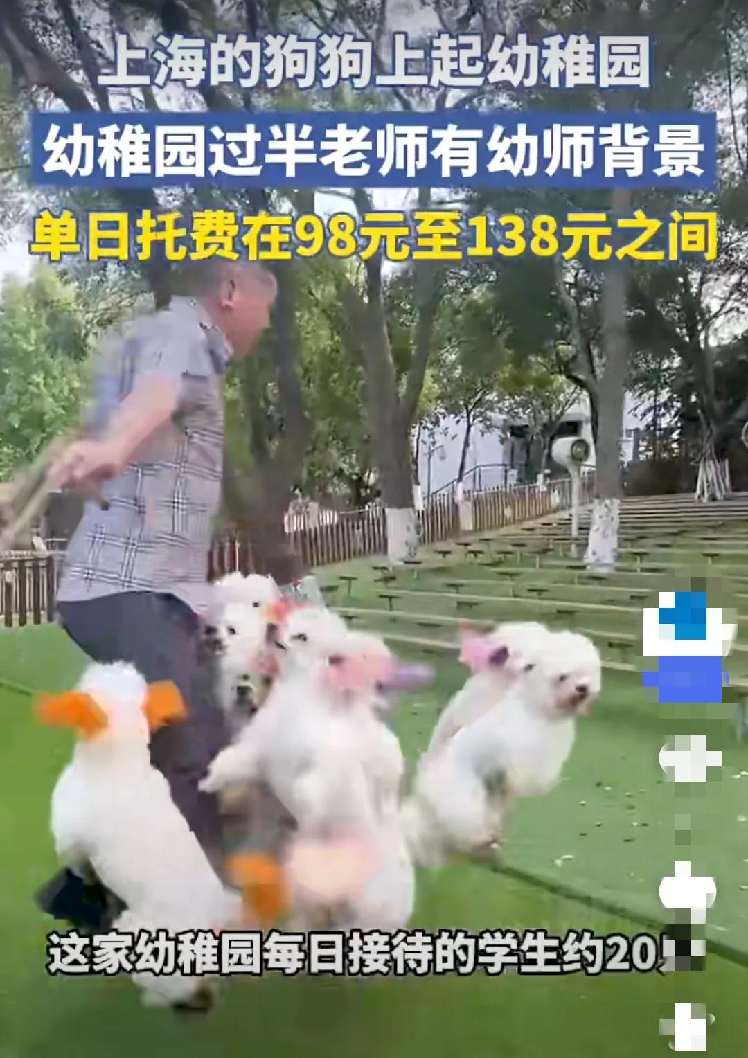 乖乖嘞，恁听说了冇？上海现在可真洋气，狗娃儿都开始上幼儿园咧！

每天学规矩，还