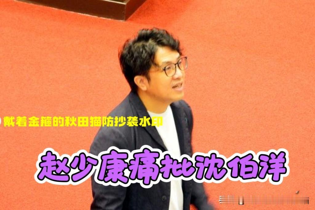 赵少康替蒋万安出头，对着搞不清状况、傻不愣登乱找事的沈伯洋一顿劈头盖脸，网友看了