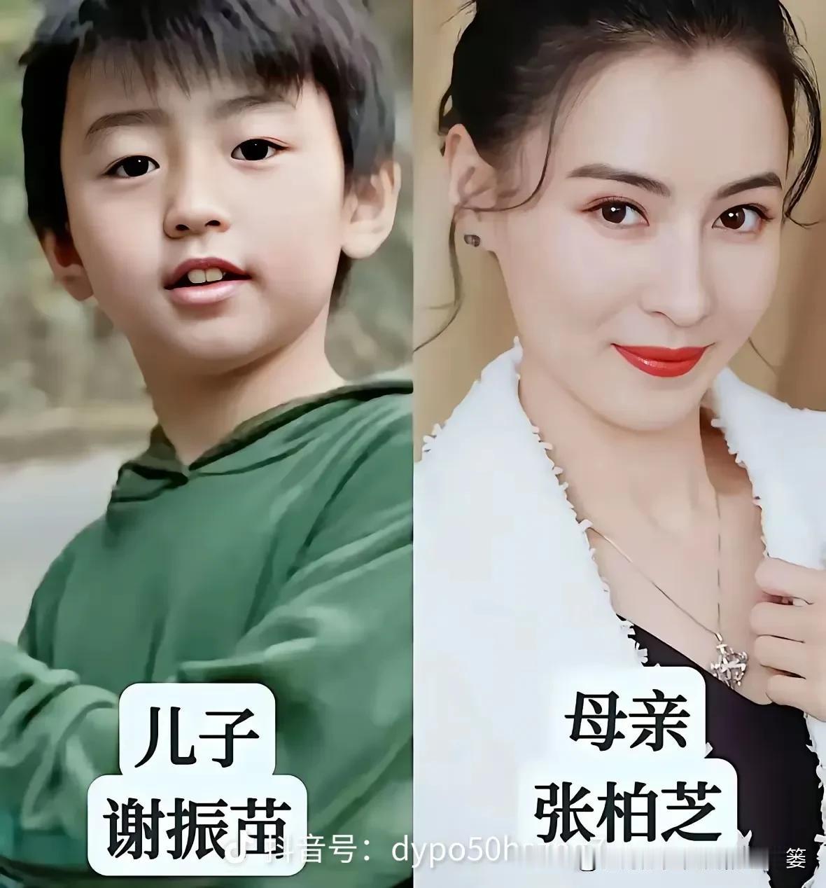 都说儿子像妈妈，看完这组明星母子合照，瞬间被强大的遗传惊艳。
张柏芝&谢振南、孙