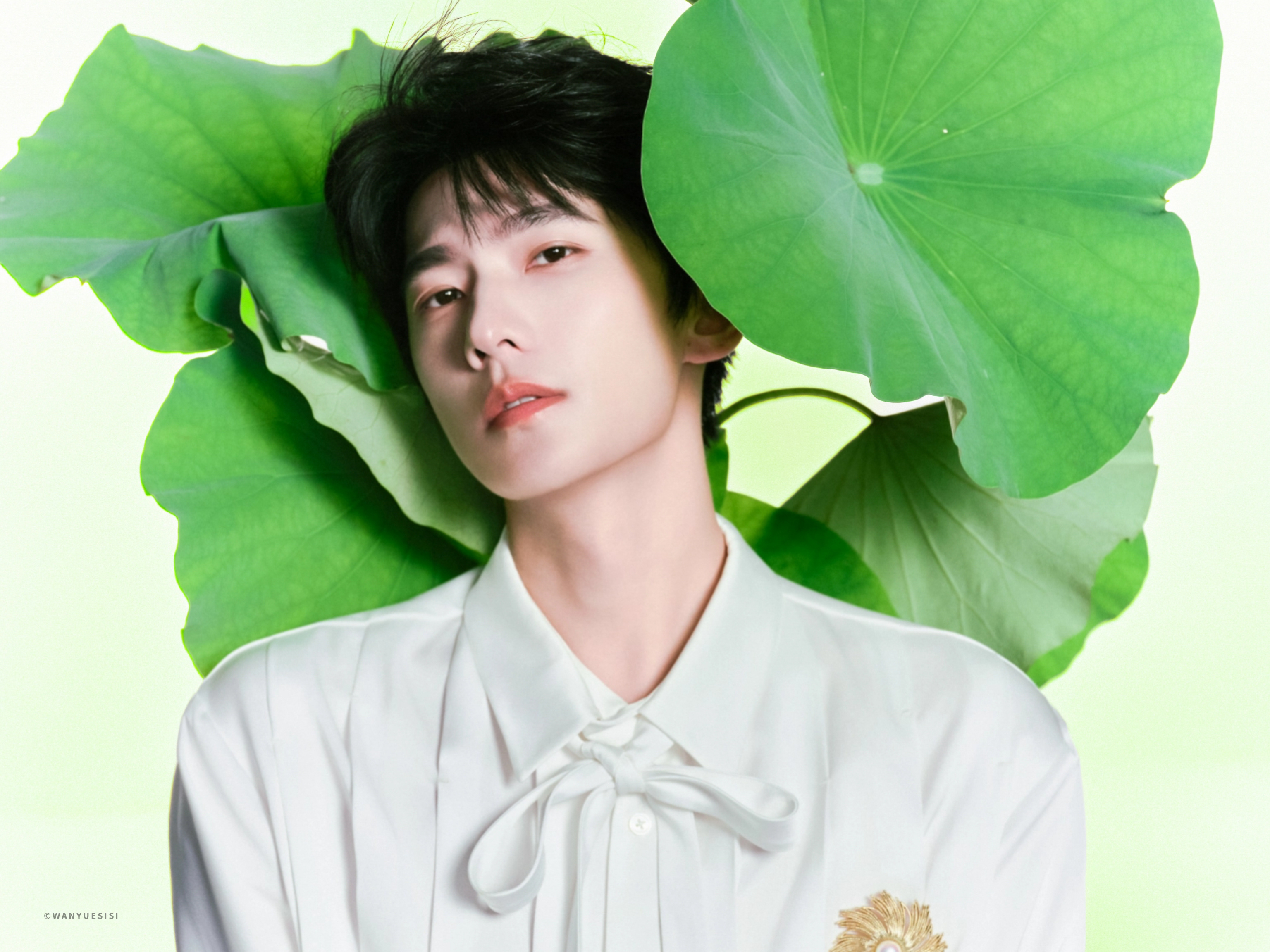 杨洋0909生日快乐 yy杨洋接戏标准 荷风送香，少年清朗，一身干净，满目温柔，