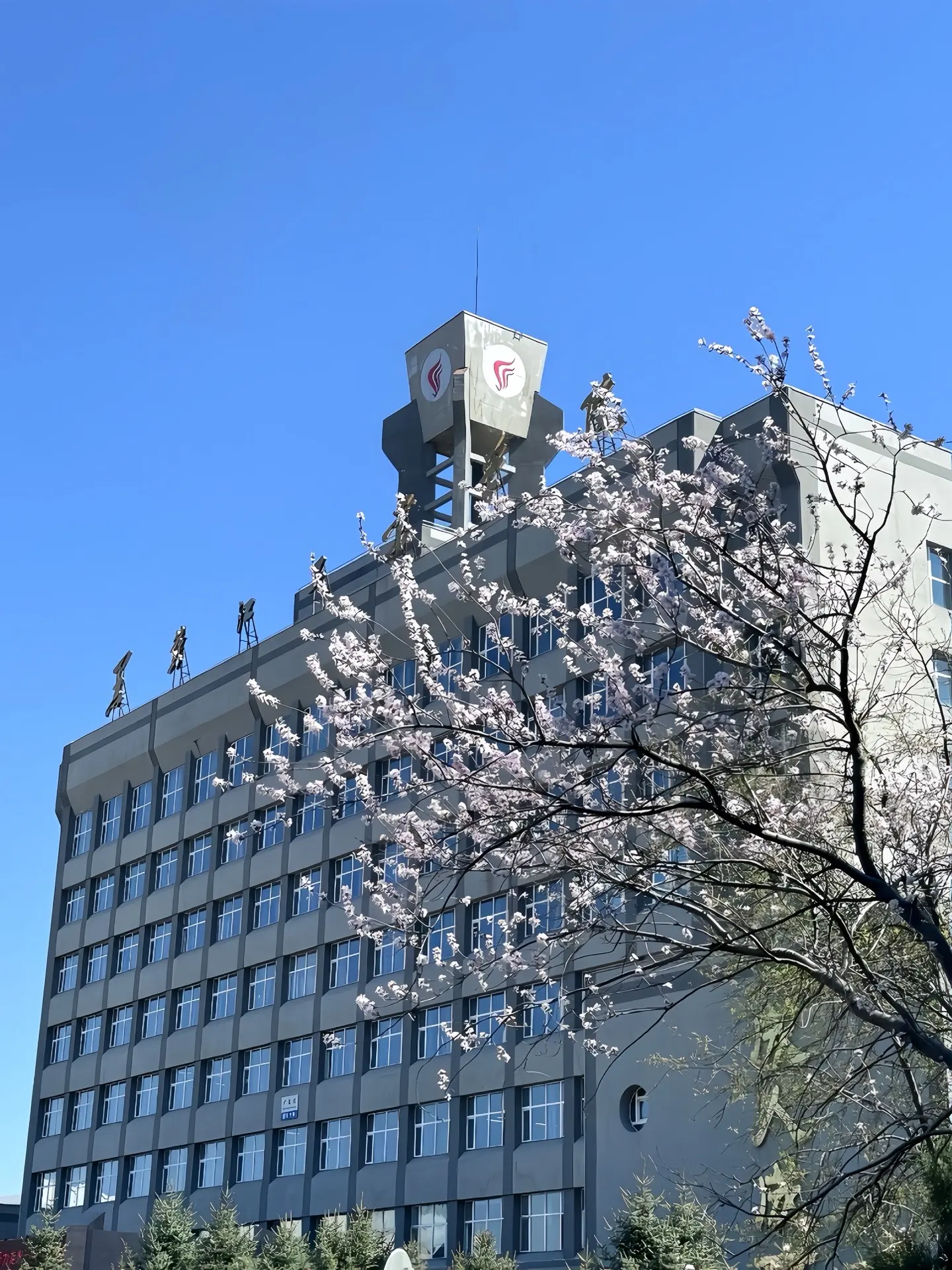 “来看看大学之最”