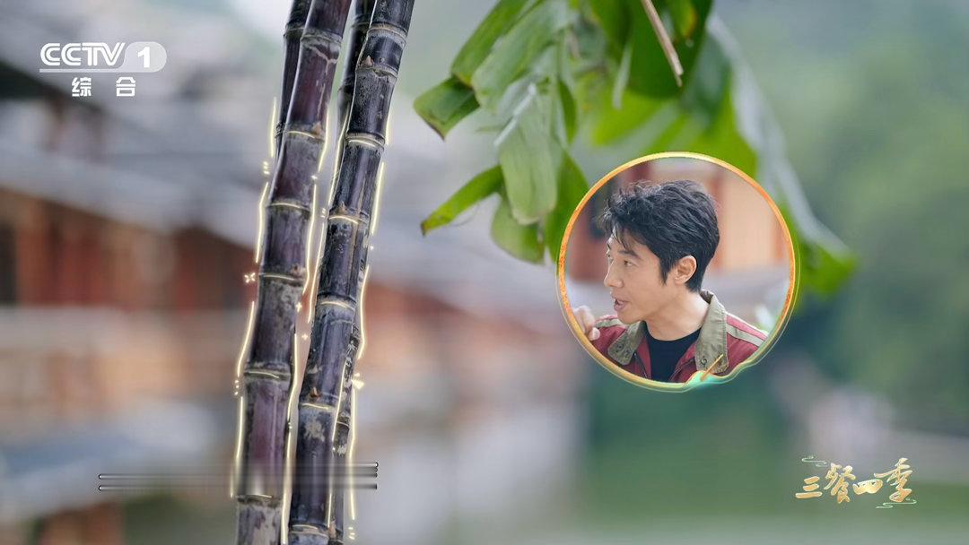 第一批用水果做菜的人吃商极高三餐四季 去骨鸡片配甘蔗盅，蒸出来既有鸡肉的鲜醇又有