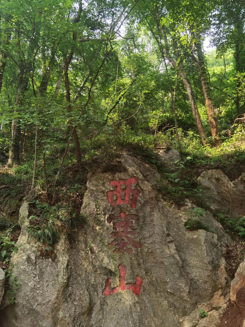 黄石市，真的美得让人挪不开眼！
白天，它藏着工业时代的厚重底蕴；夜晚，褪去沉稳，