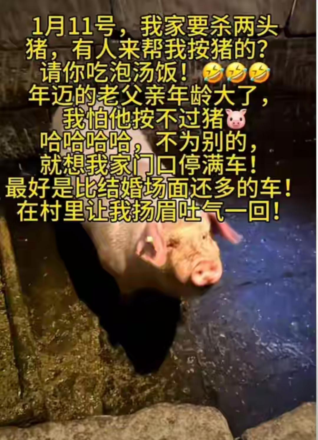 谁能想到，重庆女子一句“求两人帮忙杀猪”，竟让合川火成顶流！这波爆火根本不是意外