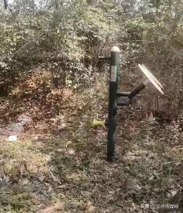 荒郊野地里，一排健身器材整整齐齐立着，太极推盘、上肢牵引器、扭腰器、漫步机，一样
