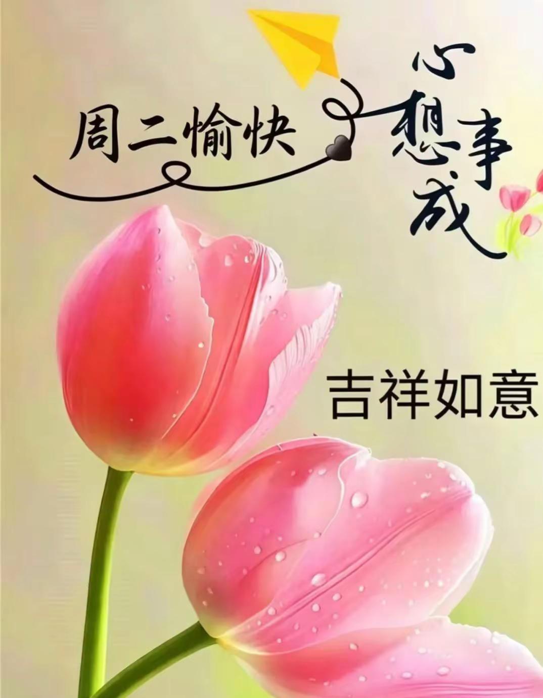 🧡  ²⁰²⁶/₀₇.₂₈ᵕ̈｜💕💕每一天都是新的开始，简单的圈子，规律的