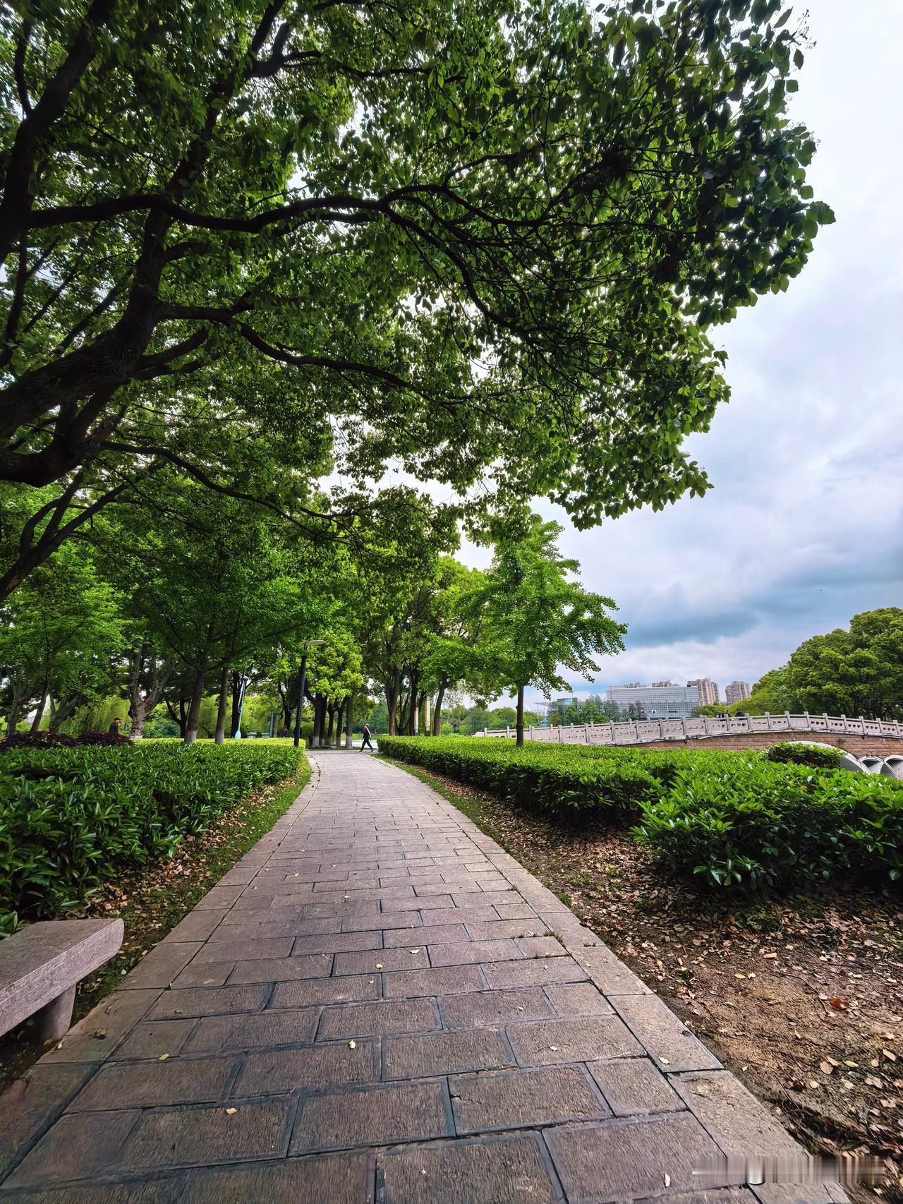 市民公园随拍～
白天的云水悠悠
夜晚的灯火阑珊
池塘里初绽的荷叶
还有花丛下惬意