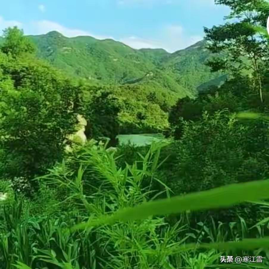 《通透记》

世间纷扰，熙来攘往，多少人困于执念，熬白了头，愁坏了身。殊不知，真
