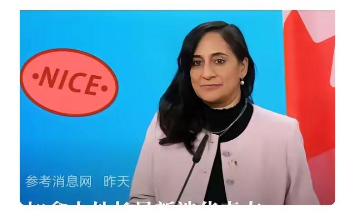 加拿大又来“嘴炮”？合作得看真行动！
加拿大这回涉华表态，可真是让人哭笑不得。一
