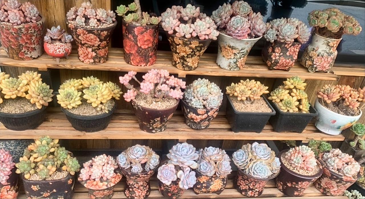 经济学家非常现实的话：
未来3年好好活下去，下面这几句大实话，越早记在心里越好。