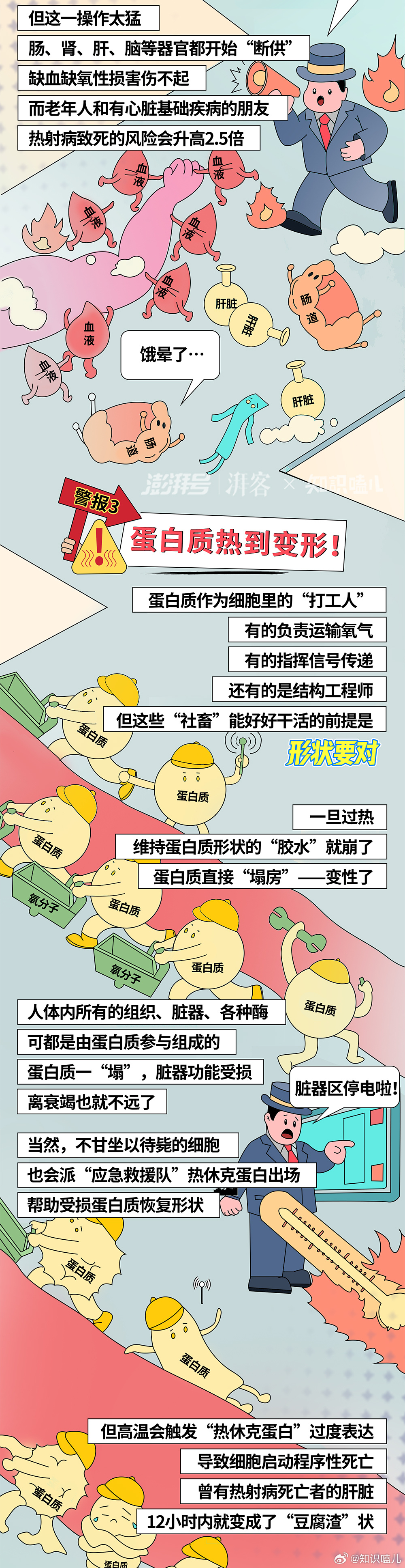 待在家里也会得热射病？大暑高温保命指南科普漫画大暑高温热射病中暑 