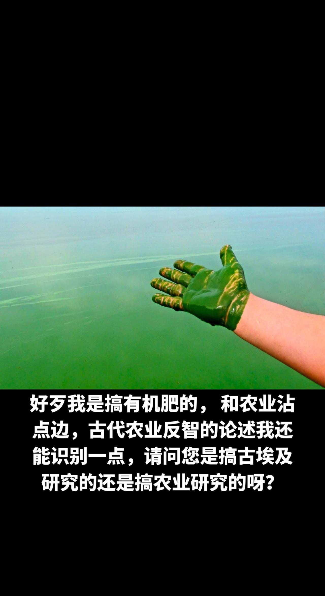 回复 @半    廬的评论 #科普 #农业 #古埃及#