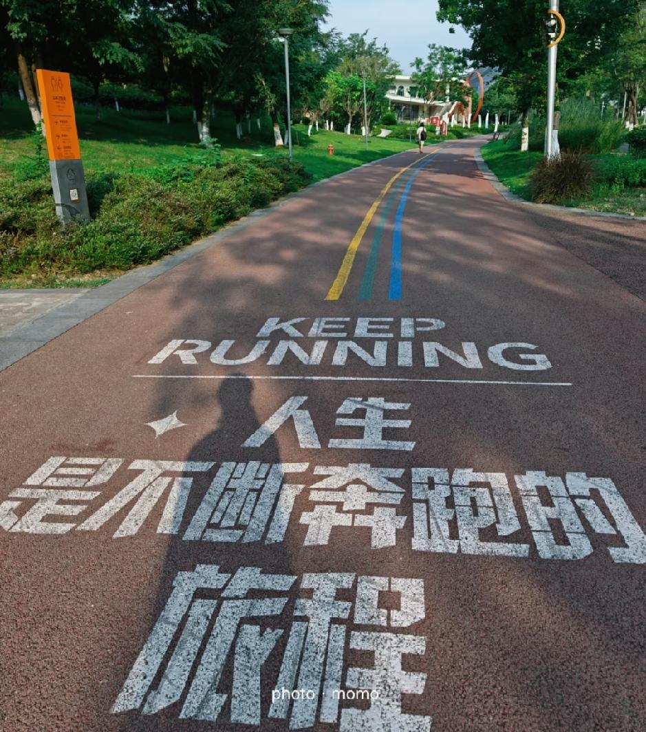 丢脸了，跑步十几年，发现跑了个最大的错误
跑步十几年了，几乎都是一个人在跑，也没