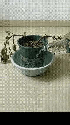 这应该是Ai吧
要么就是调进度了
怎么可能恢复的这么快